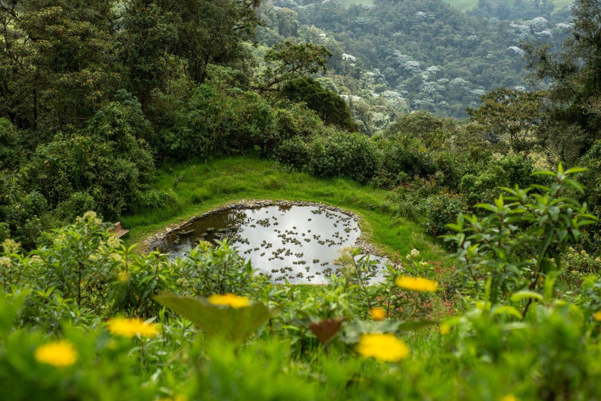 Owl'S Watch At Rio Blanco Villa Manizales Exterior photo
